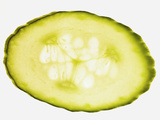 Slice of Courgette