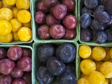 Various Varieties of Plums in Cardboard Punnets