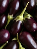 Baby Aubergines