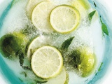 Limes and Mint Leaves in Block of Ice