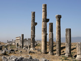 Apamea, Syria