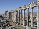 Apamea, Syria