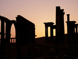 Archaeological site of Palmyra, Syria