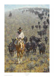 The Point Rider