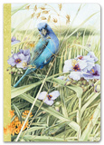 Nature's Journal Deluxe Journal