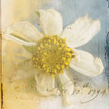 Cosmos I Art Print