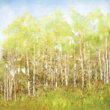 Necessary Change, Spring
