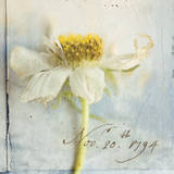 Cosmos II Art Print