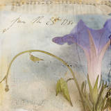 Morning Glory I Art Print