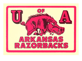 Arkansas Razorback Mascot