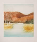 Birch Marsh