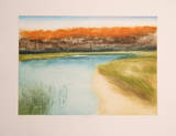 Salt Marsh