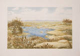 Spring Time