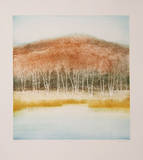 Birch Grove