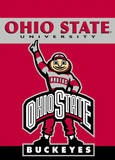 NCAA Ohio State Buckeyes 2-Sided Garden Flag