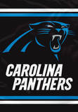 NFL Carolina Panthers 2-Sided House Banner