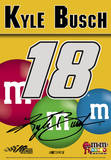 Nascar Kyle Busch #18 M& M'S 2-Sided House Banner