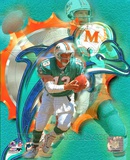 Dan Marino - Portraits Plus