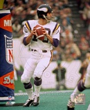 Fran Tarkenton Action