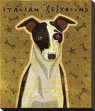 Italian Greyhound (Black & White)