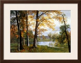 A Quiet Lake Framed Giclee Print