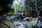 Little Pond in a Rock Crack, Carnarvon Gorge, Queensland, Australia, Pacific