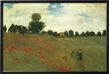 Poppies Lamina Framed Poster