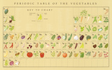 Periodic Table of the Vegetables Educational Food Poster