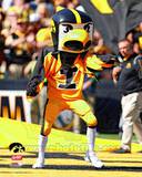 Herky the Hawk, the University of Iowa Hawkeyes Mascot