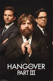 The Hangover III - Trio Movie Poster