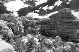 Paysage Dans Arches National Park Dans L'Ouest Des États Unis XVIX