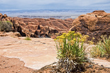 Paysage Dans Arches National Park Dans L'Ouest Des États Unis XVII