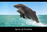 Spirit of Freedom Poster