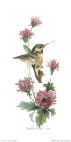 Buy Calliope at AllPosters.com