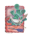 Roadrunner