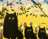 Three Black Cats