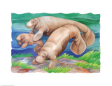 Manatee Family