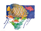 Buy Regal Angel Fish at AllPosters.com