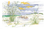 Sandpiper Dunes