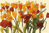 Buy Tulipomania at AllPosters.com