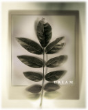 Buy Uplift I at AllPosters.com