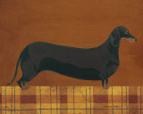 Good Dog III