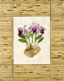 Buy Asian Inspiration I at AllPosters.com