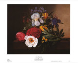 Buy White Iris at AllPosters.com