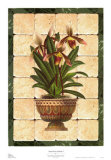 South Sea Orchids I