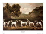 Foxhounds in a Landscape
