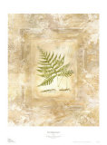 Buy Fern Impressions I at AllPosters.com