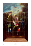 Aviary