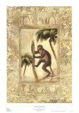 Buy Amazon Primates II at AllPosters.com