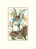 Butterfly I